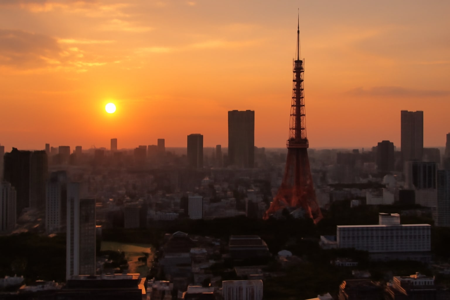Tokyo Skyline Sunsets: Urban Vistas You Can’t Miss